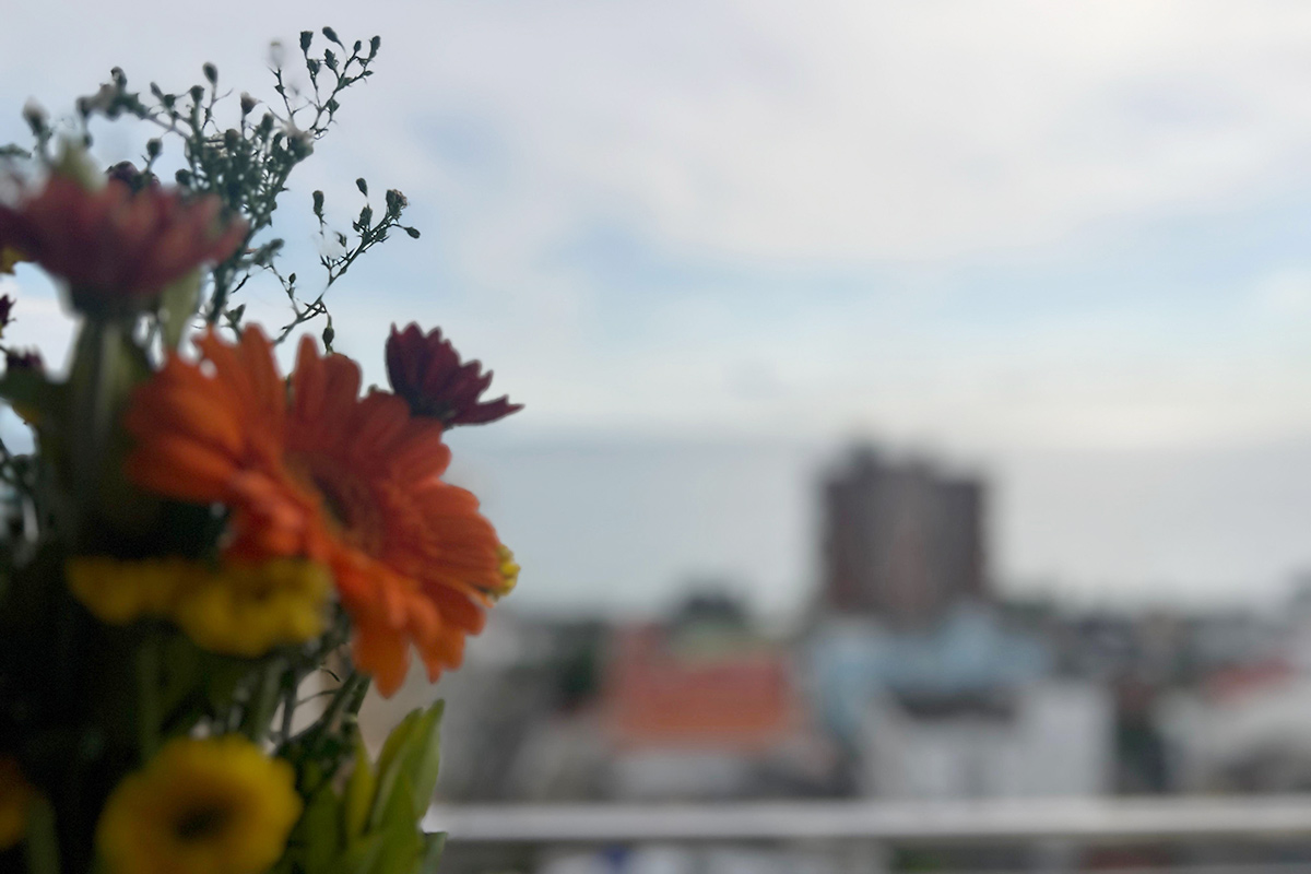 tequila-holidays-azure-horizon-wellawatta-home-06