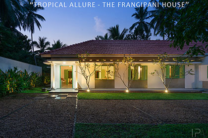 Tequila-Holidays-Tropical-Allure-001