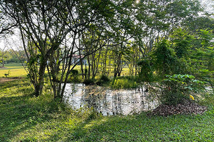 magallewewa-villa-nikaweratiya-006